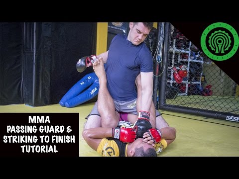 MMA Passing Guard & Striking to Finish Tutorial