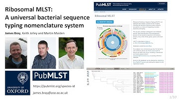 PubMLST Showcase Event (2020-11-13) #03: James Bray - Ribosomal MLST