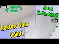 How To Clean and Remove Mold and Stains From Paint - Fast and Easy - No Repainting!