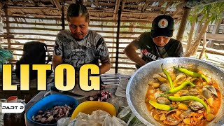 P2LITOG DAGAT  EP1304