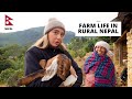 72 hours farmers life in rural nepal