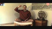 Save Your Spine, Stop Over Rounding Your Low Back. Intro to Lumbar Stability in Forward Folds