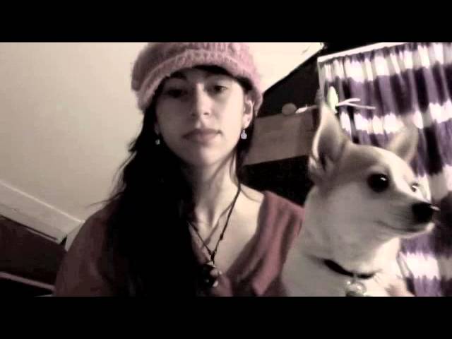 Dragonfly cover- Phildel