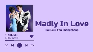 《狂恋 - Madly In Love》- 白鹿 (Bai Lu) & 范丞丞 (Fan Chengcheng) | New Year’s Eve Party【2024】