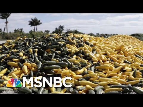 'Massive Failure' Of Leadership In Food Crisis, Says Chef | Morning Joe | MSNBC