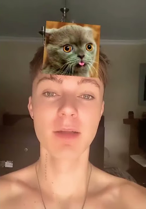 HRVY''s funny video🦋💙/ Animal Hrvy