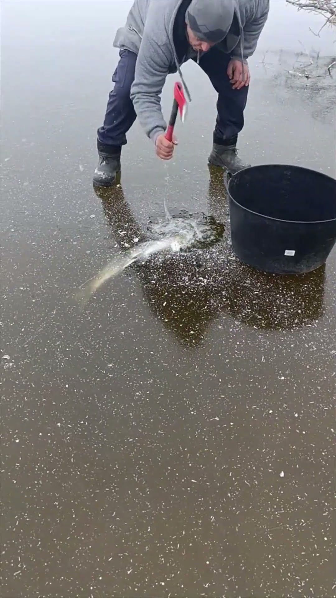 Fisherman Breaks Frozen Lake Surface To Catch Live Fish