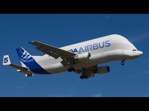 Видео: Самые большие самолеты в мире!
