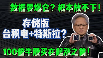 AI最大危机不是算力，而是数据塞不下，两家被遗忘十年的公司突然暴涨#AI #美股 #AI存储