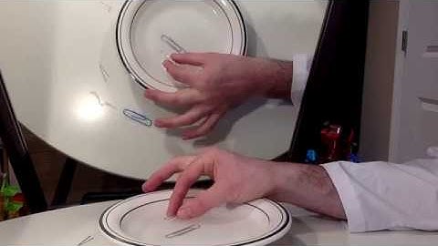 Good Morning Science Home Edition #4: Floating Paper Clip, Coin Drop, and Blooming Paper Flowers!