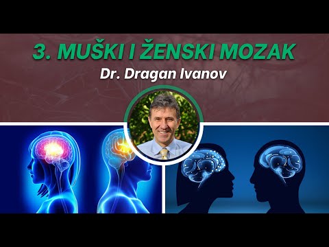 03. Muški i ženski mozak - Dr. Dragan Ivanov