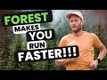 Forest running is the shit for a marathoner