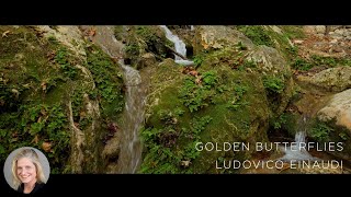 Golden Butterflies by Ludovico Einaudi, Piano-Cover by Rose Wilson (Butterfly Valley Rhodes)