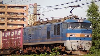 EF510-503牽引高速貨物3098ﾚ　札幌→福岡