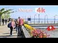 🇨🇭 SWITZERLAND - Suiza - MORGES - France -Walking Tour beautiful villages - hermosos pueblos - 4k