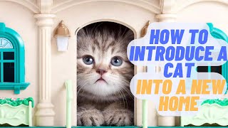How to Introduce a New Cat to Your Household by Purring Loaf 100 views 1 year ago 6 minutes, 36 seconds