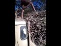 الا يا اللي تقول ان خلق الله سوا لوم لوم صوت مذهل الا يا اللي تقول ان خلق الله سوا لوم لوم صوت مذهل