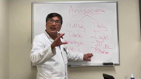 Anisocoria in 3 minutes!