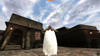 Morrowind in 2026  Animated cloaks update