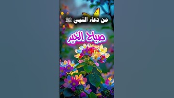 من دعاء النبي ﷺ اذكار الصباح  #حالات_واتس_دينية #تيك_توك