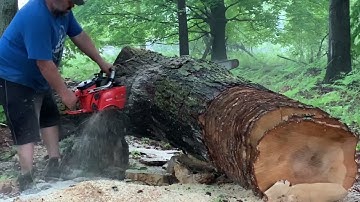 Stock Echo 1201 50” 3/8 skip