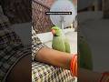 घर आया एक और मेहमान☺️#