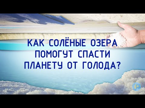 Как соленые озера помогут спасти планету от голода? 6+