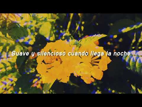 Sing For You - Tracy Chapman // Sub Español