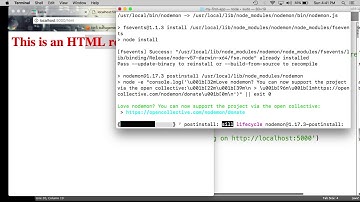 Introduction to Express - Query and Route Parameters