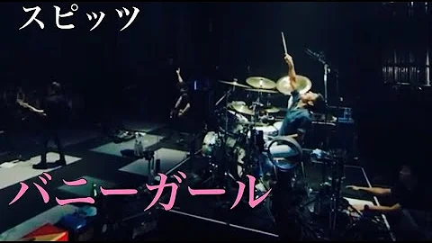 تحميل バニーガール スピッツ