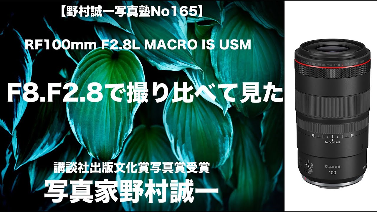 【野村誠一写真塾No165】RF100mm F2.8L MACRO IS USMをF2.8とF8で撮り比べてみた。早朝愛犬と1時間のお散歩中に撮りました。新製品RF100マクロは更に寄れるレンズです。