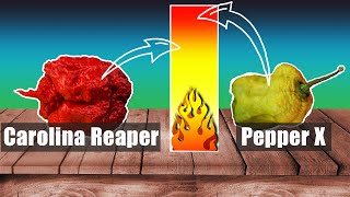 This pepper beat Carolina Reaper in Scoville heat. Which are the world’s hottest peppers in 2021?