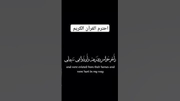 سورة آل عمران  الشيخ ماهر المعيقلي #quran #قرآن #
