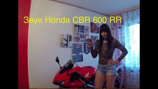 Звук Honda CBR 600 RR в квартире!