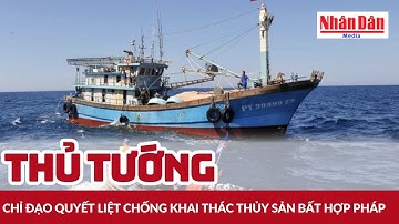 Thủ tướng chỉ đạo quyết liệt chống khai thác thủy sản bất hợp pháp | Báo Nhân Dân