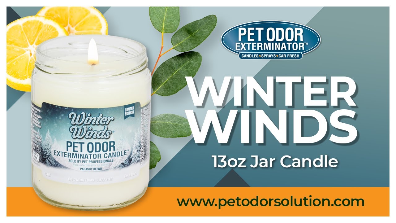 Pet Odor Eliminator Candle