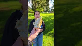 I hate ugly ice cream