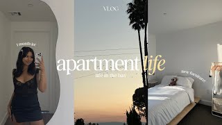 bay area apartment life 🌇 first month in my new apartment, building furniture, home cooked meals by Malia Ramos 6,529 views 7 months ago 19 minutes