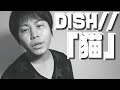 【猫】DISH//さんの切ない名曲歌ってみた