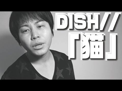 【猫】DISH//さんの切ない名曲歌ってみた