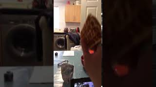 Lad throws waffle from across kitchen into toaster | CONTENTbible Net Worth