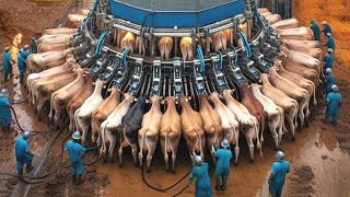 Farmers Are Using Cow Machines You