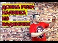 Донна Роза. Рецепт домашней настойки и наливки из водяники, очень просто и без затей готовим дома.