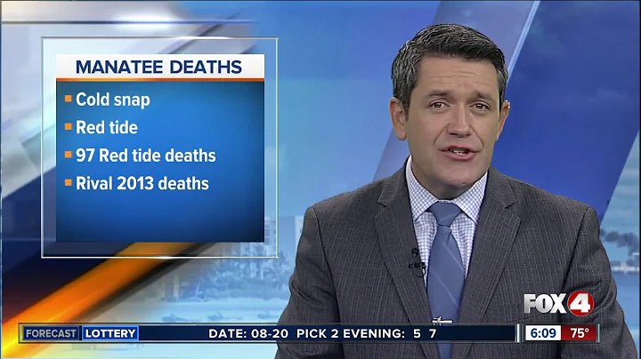 Manatee deaths on the rise in 2018