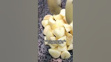 Phần 1 - Mồi câu cá mùa hè làm từ tỏi  | Câu Cá Bốn Phương #short