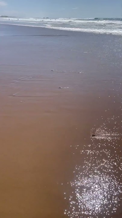 Tsunami northern ca