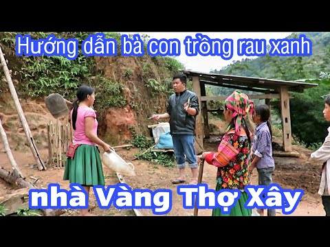 Hướng dẫn hộ nghèo cách trồng rau xanh tại nhà "Vàng Thợ Xây" theo tên diễn viên Nguyễn Tất Thắng