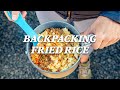 REI Backpacking Recipes: Fried Rice