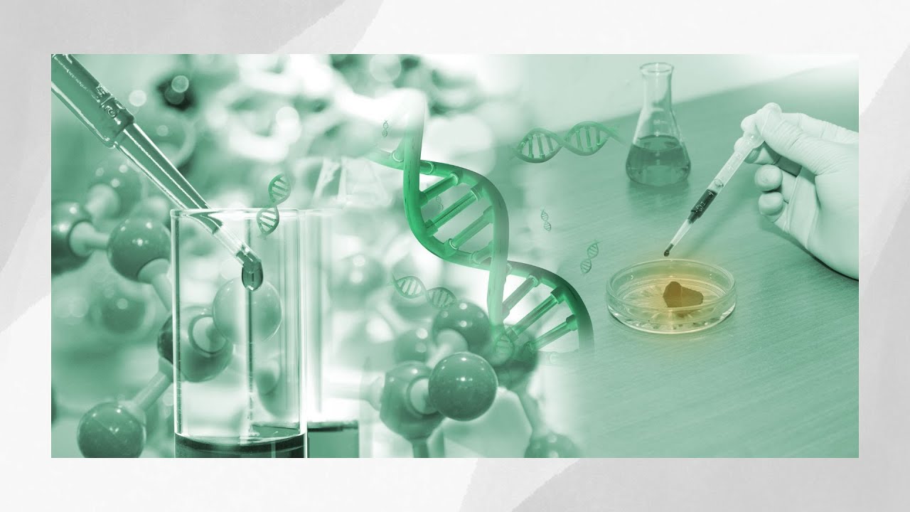 CLEP Natural Sciences Practice Test Part 4 YouTube