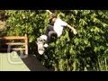 Mini ramp session at danny ways with ryan gallant and ryan smith